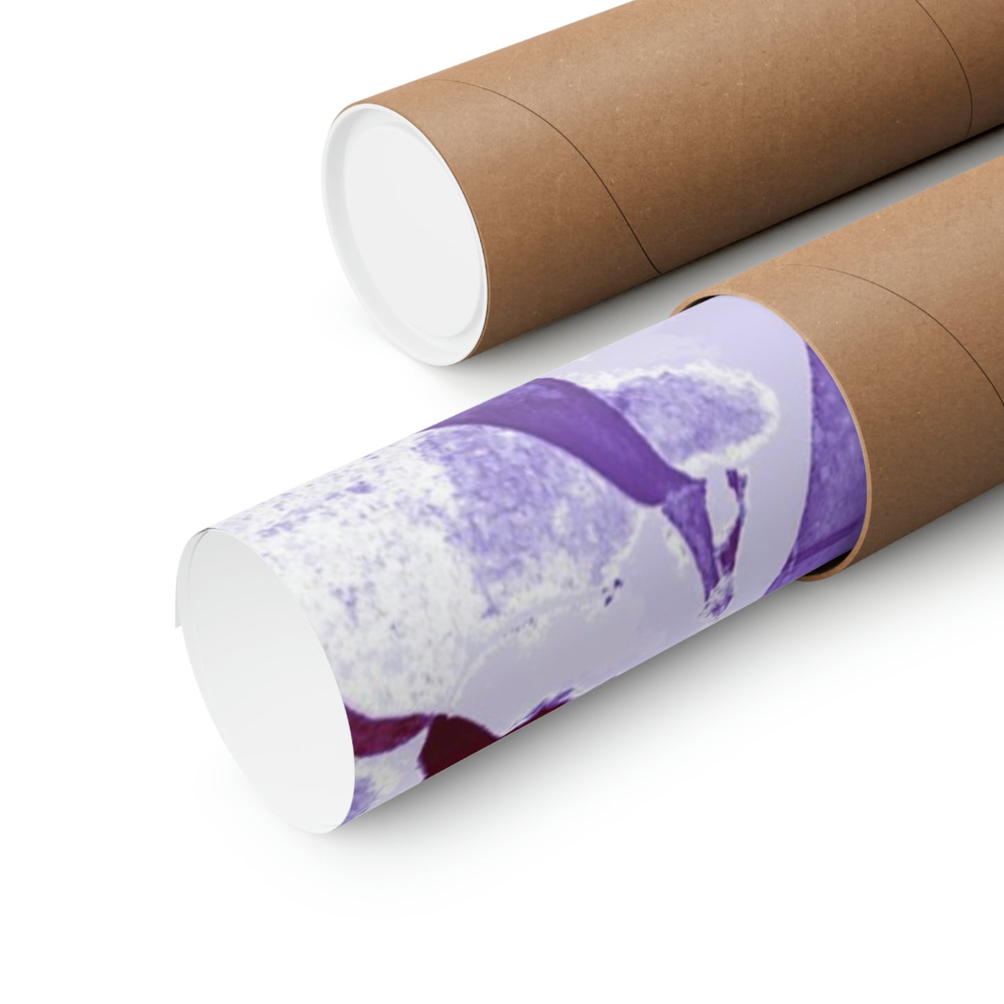 thescrewtapetheory Premium Matte horizontal posters