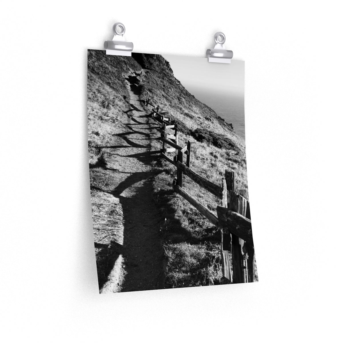 ptreyes Premium Matte poster