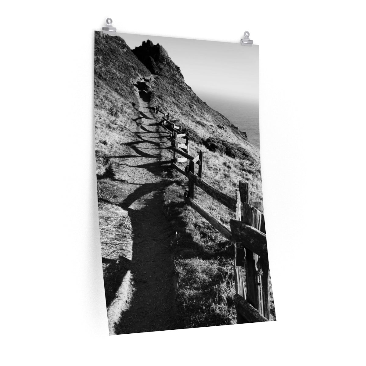 ptreyes Premium Matte poster