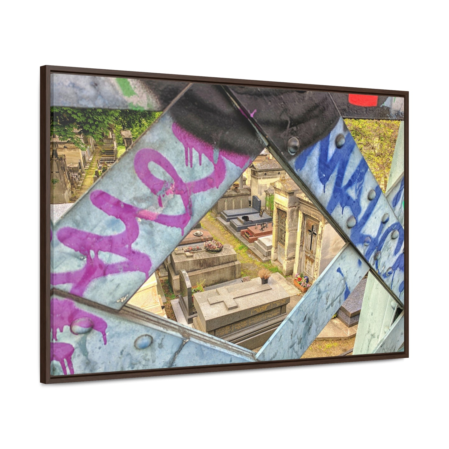 blackcat Horizontal Framed Premium Gallery Wrap Canvas